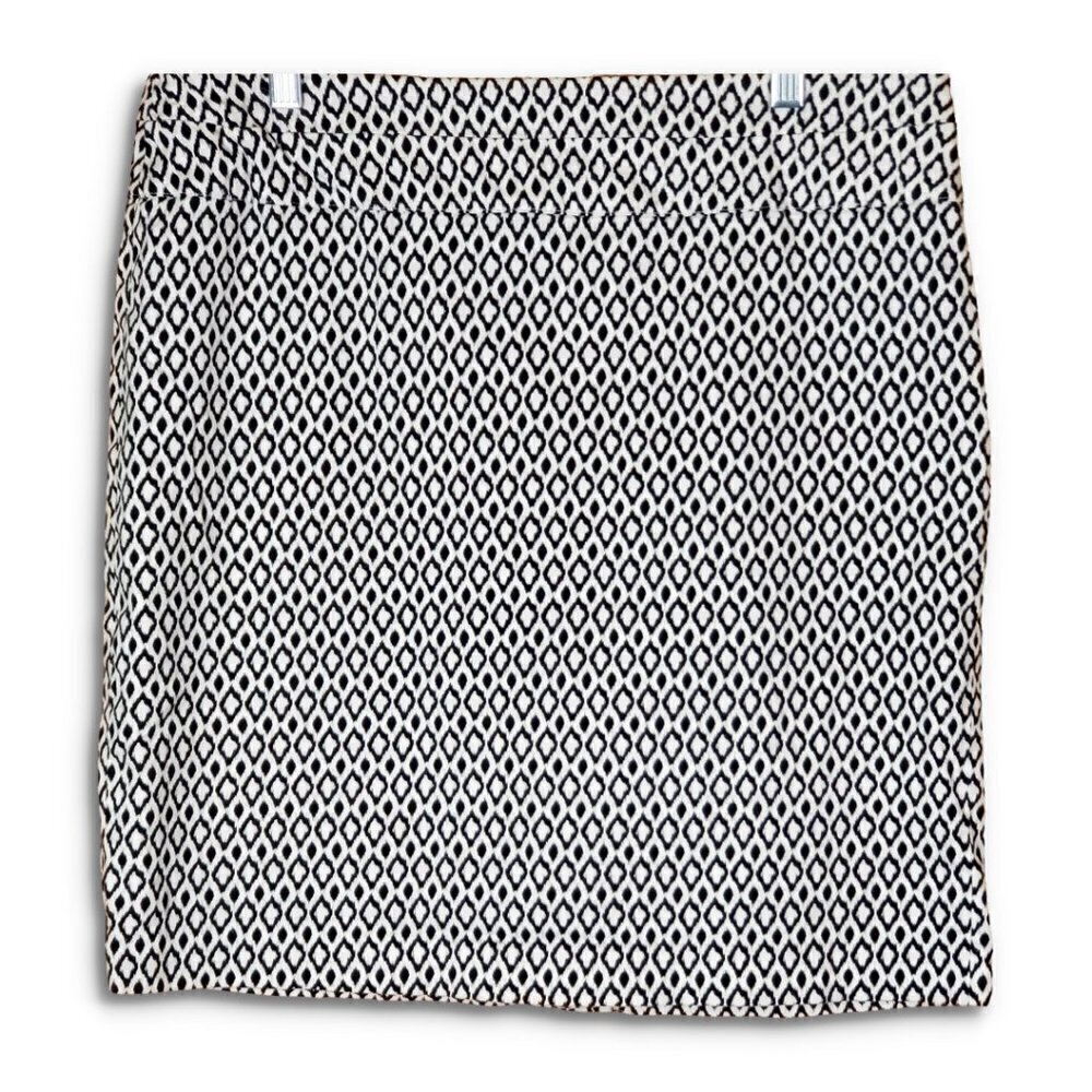 💎389 Donna Ricco New York Printed Skirt